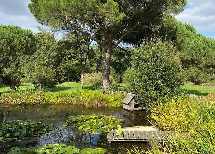 Les D'argoumbat * Beaumont-de-Lomagne