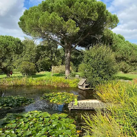 Les D'argoumbat * Beaumont-de-Lomagne